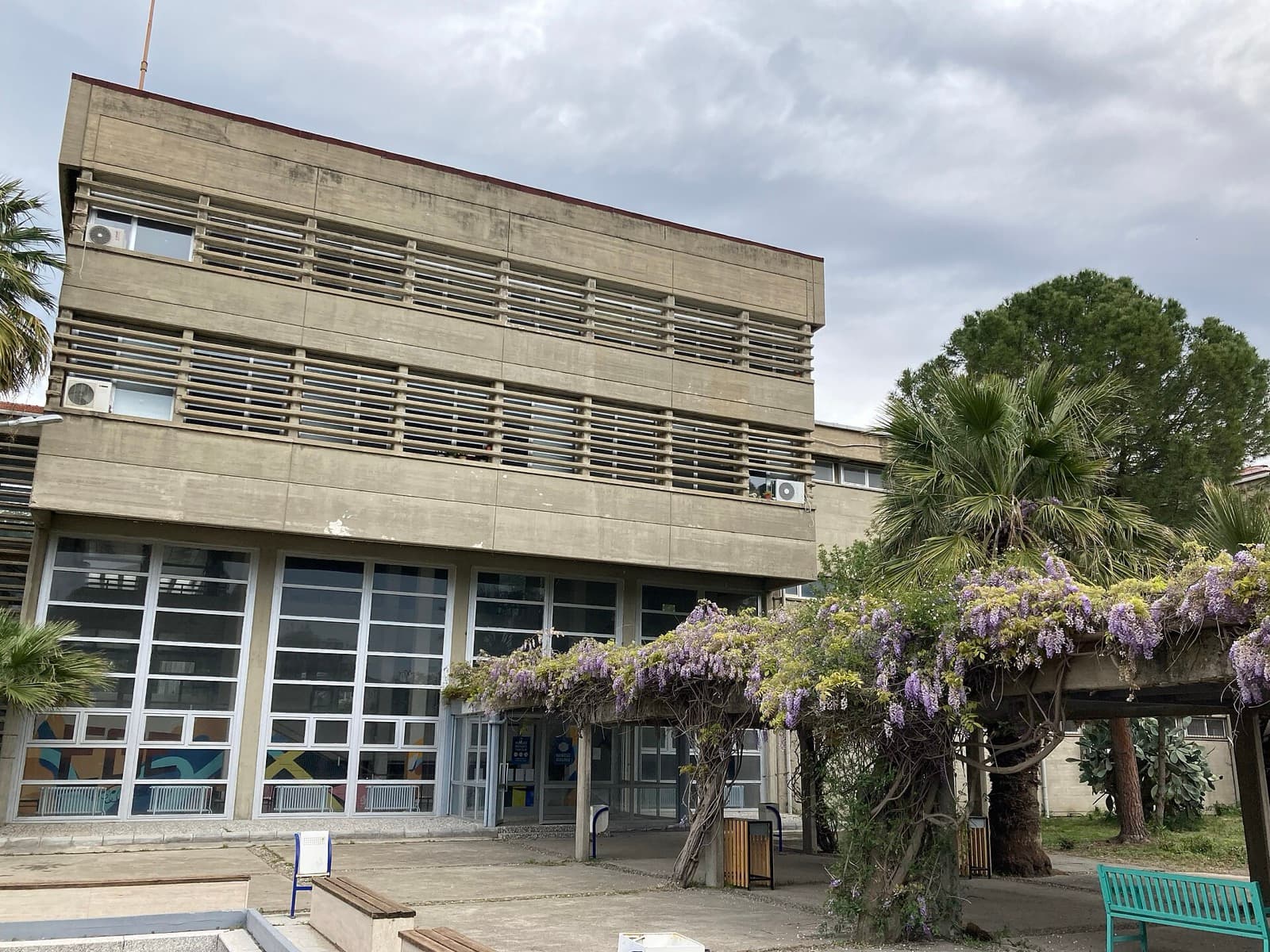 Ege Üniversitesi Tekstil Mühendisliği binasında mor salkım