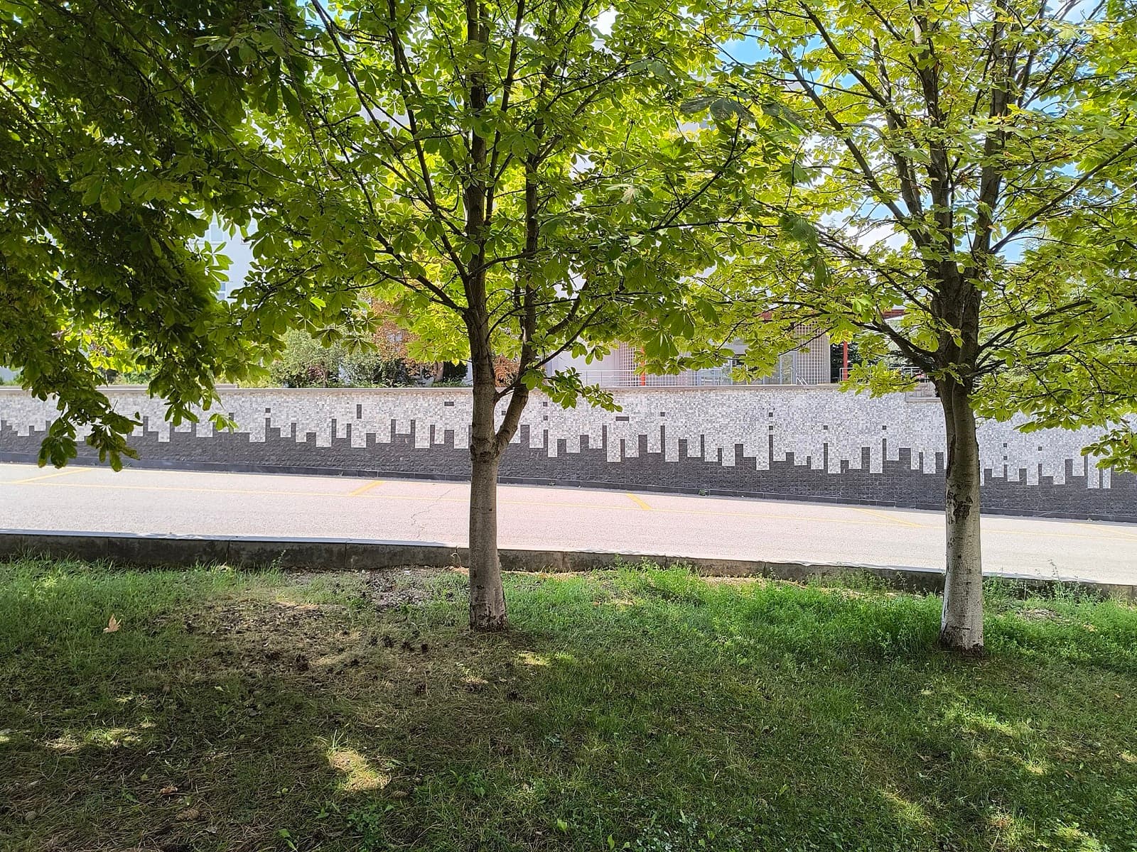 Hacettepe Beytepe Kampüsü'nde ağaçlar