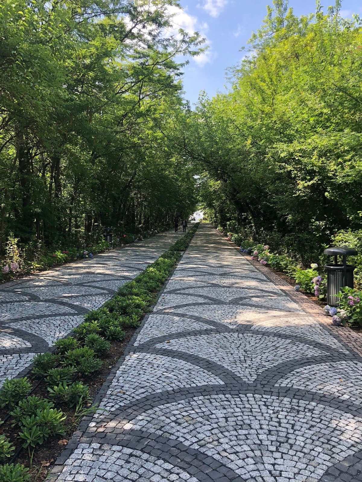 İTÜ Ayazağa Kampüsü'nde ağaçlı yol